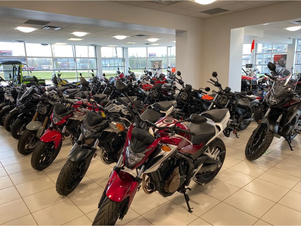 Welcome to Orilla Motorsports